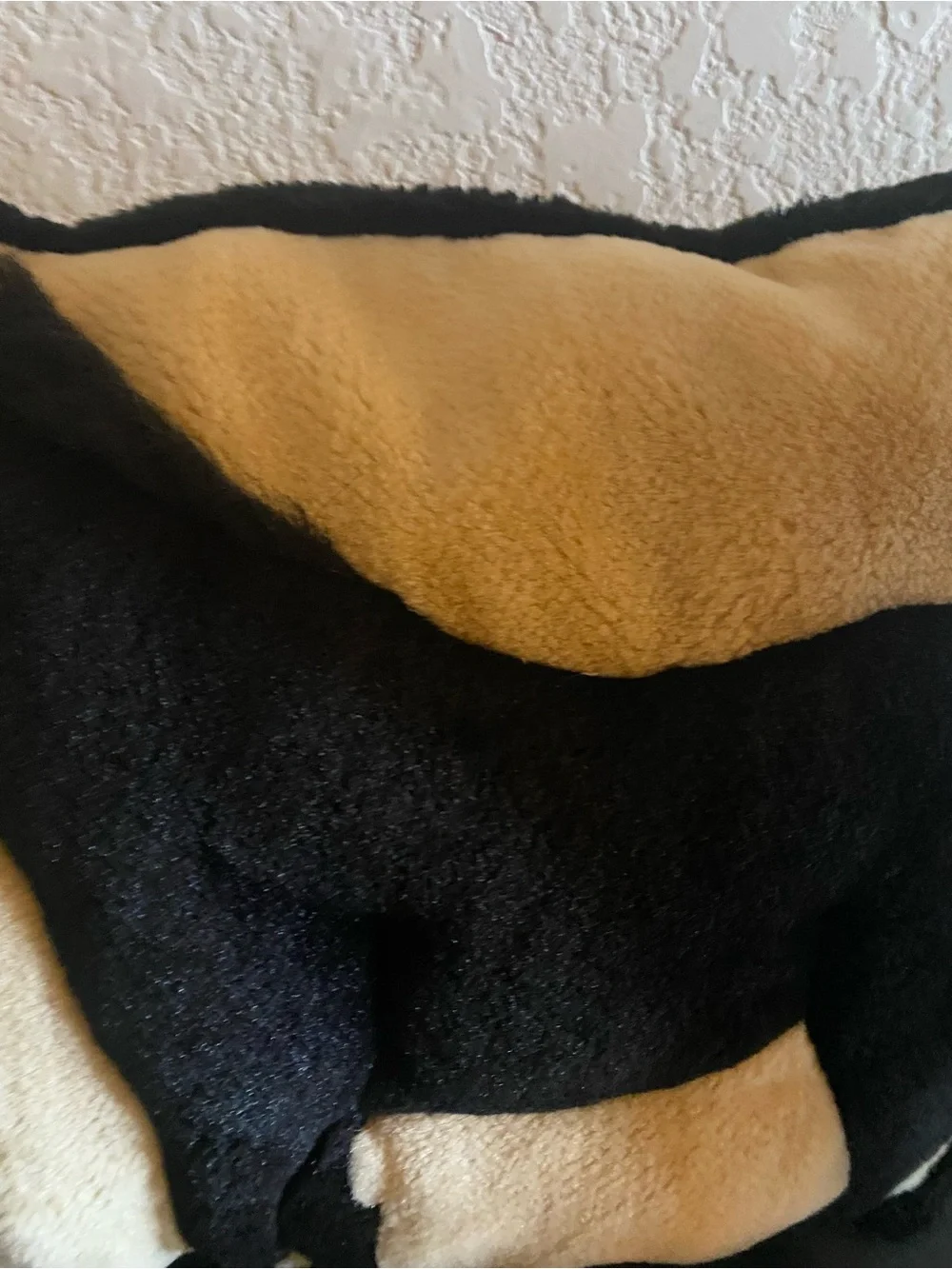Horse Appliqué Equestrian 3D   Tan Black Trim Plush 14x12 Western Throw Pillow
